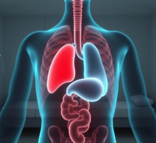 Санатории для лечения хронического холецистита: как выбрать, чего ждать и что взять с собой