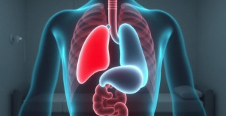 Санатории для лечения хронического холецистита: как выбрать, чего ждать и что взять с собой