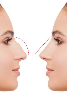 Медведь: Гигант лесов и символ дикой природы