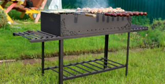 Морские львы: Грация и харизма подводного мира