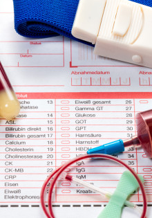 Буроголовая гаичка: маленький артист среди пернатых