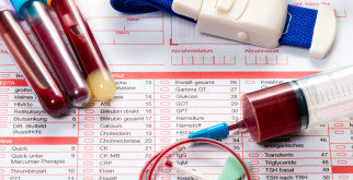 Буроголовая гаичка: маленький артист среди пернатых