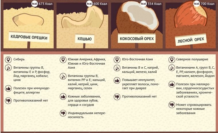 Полезные свойства и противопоказания кедрового ореха
