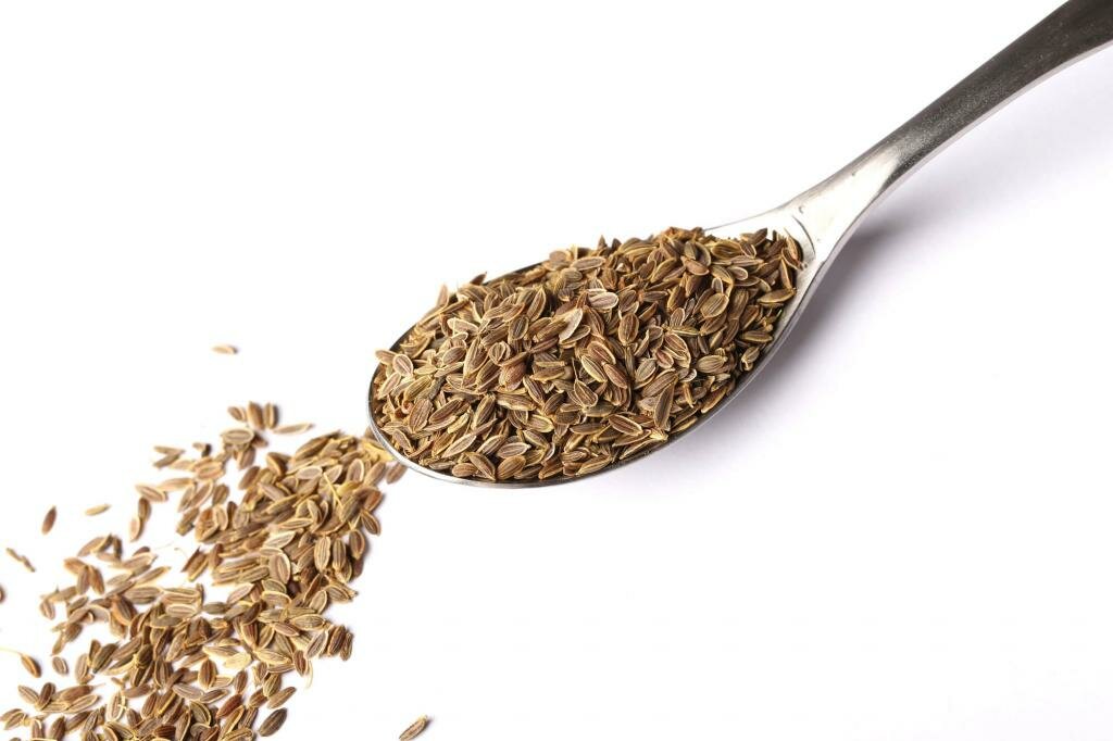Семена укропа: лечебные свойства и противопоказания для мужчин, женщин, детей