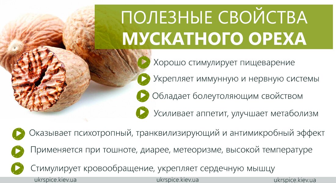 Кедровые орехи: польза для мужчин, рецепты для потенции