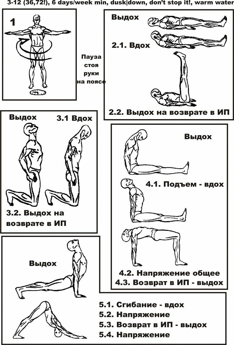 Как выполнять тибетскую гормональную гимнастику - описание упражнений