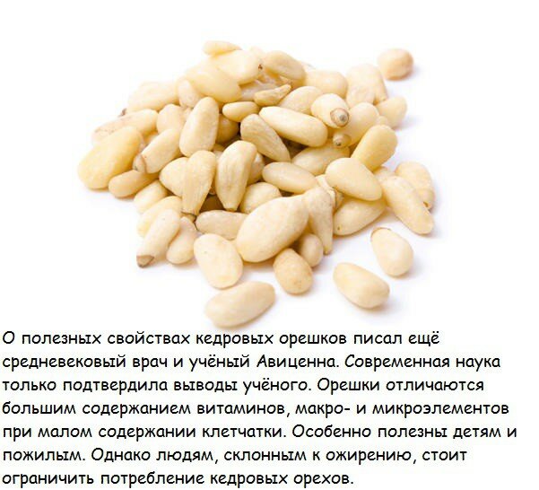 Чем полезны кедровые орешки для женщин